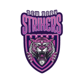 Team logo